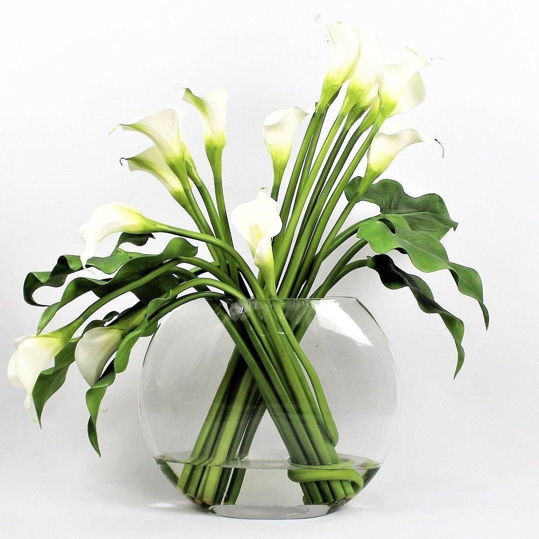 Arum Blanc — Collection Aquitaine, blanc