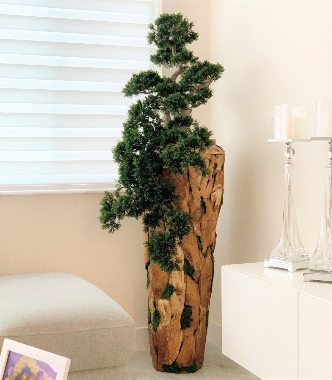 Bonsaï Grand — Collection Cannes, teck