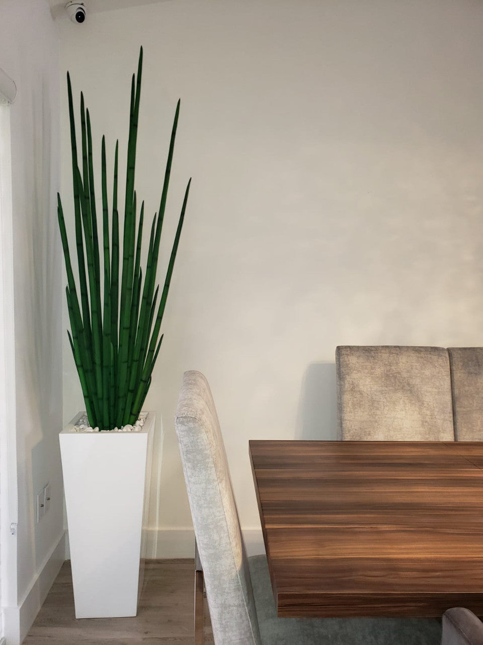 Sansevière — Collection Menton, 160 cm, blanc brillant