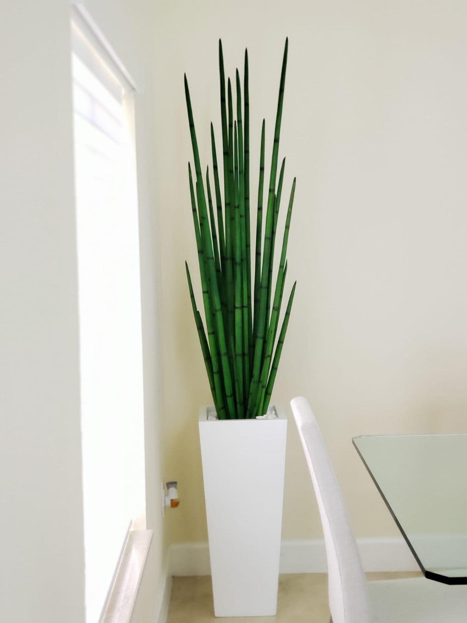 Sansevière — Collection Menton, 160 cm, blanc brillant