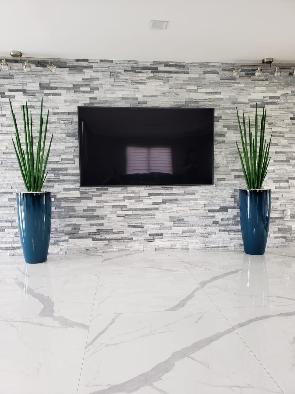 Sansevière 122 cm | Signature Riviera