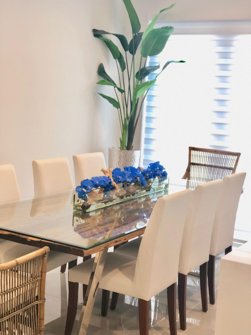Orchidée Phalaenopsis 122 cm · Édition Cannes, bleu