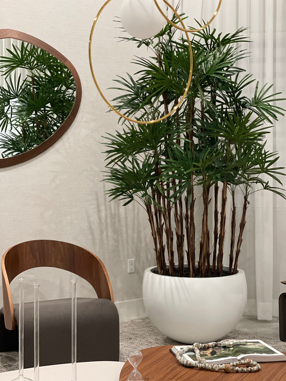 Palmier d'Intérieur — Collection Antibes, blanc