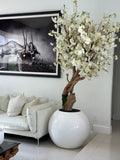 Cerisier en Fleurs — Collection Aquitaine, blanc brillant
