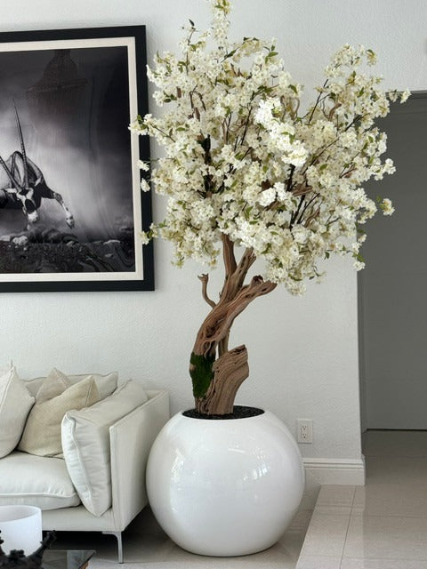 Cerisier en Fleurs — Collection Aquitaine, blanc brillant