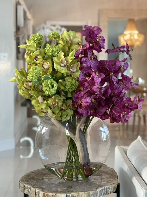 Orchidée Vanda — Collection Nantes, vert