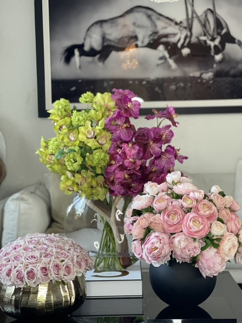 Orchidée Vanda — Collection Nantes, vert