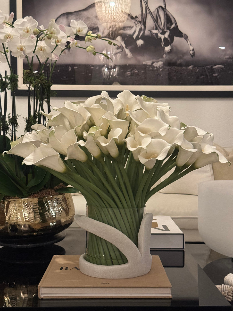Arum Blanc — Collection Aquitaine