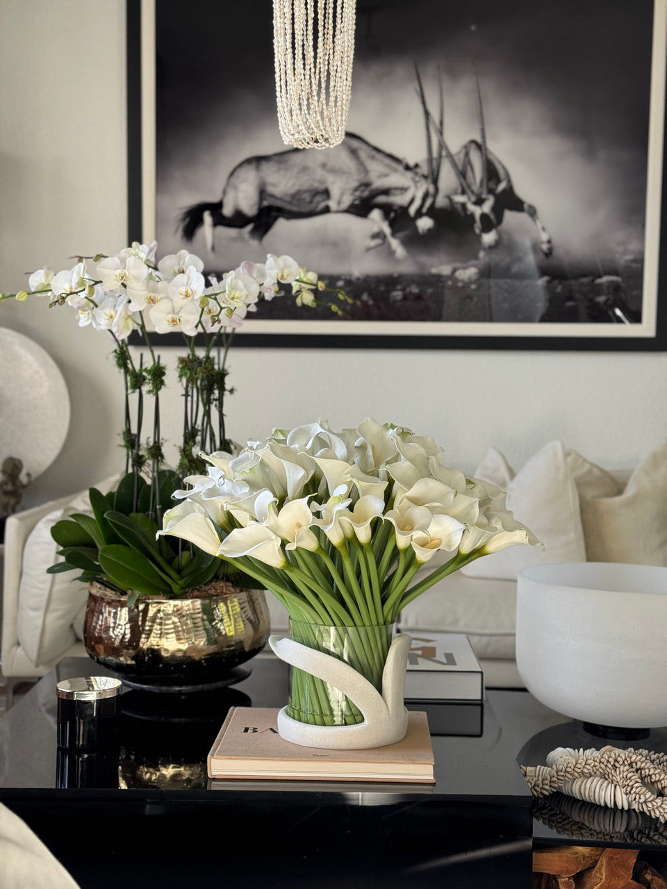 Arum Blanc — Collection Aquitaine