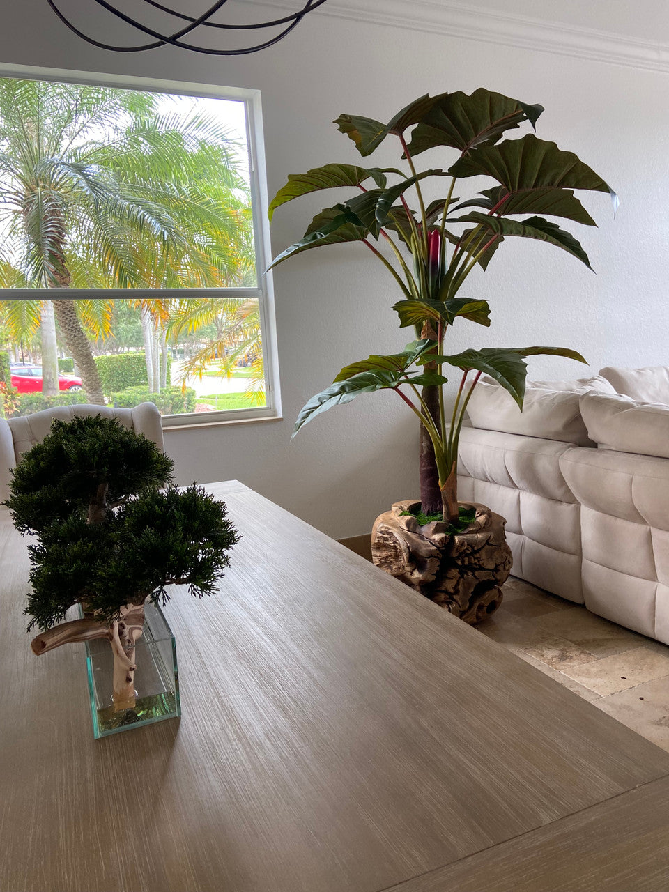 Plante Tropicale XXL — Collection Aquitaine