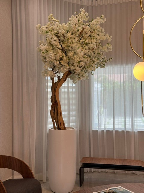 Cerisier en Fleurs · Édition Antibes, blanc mat