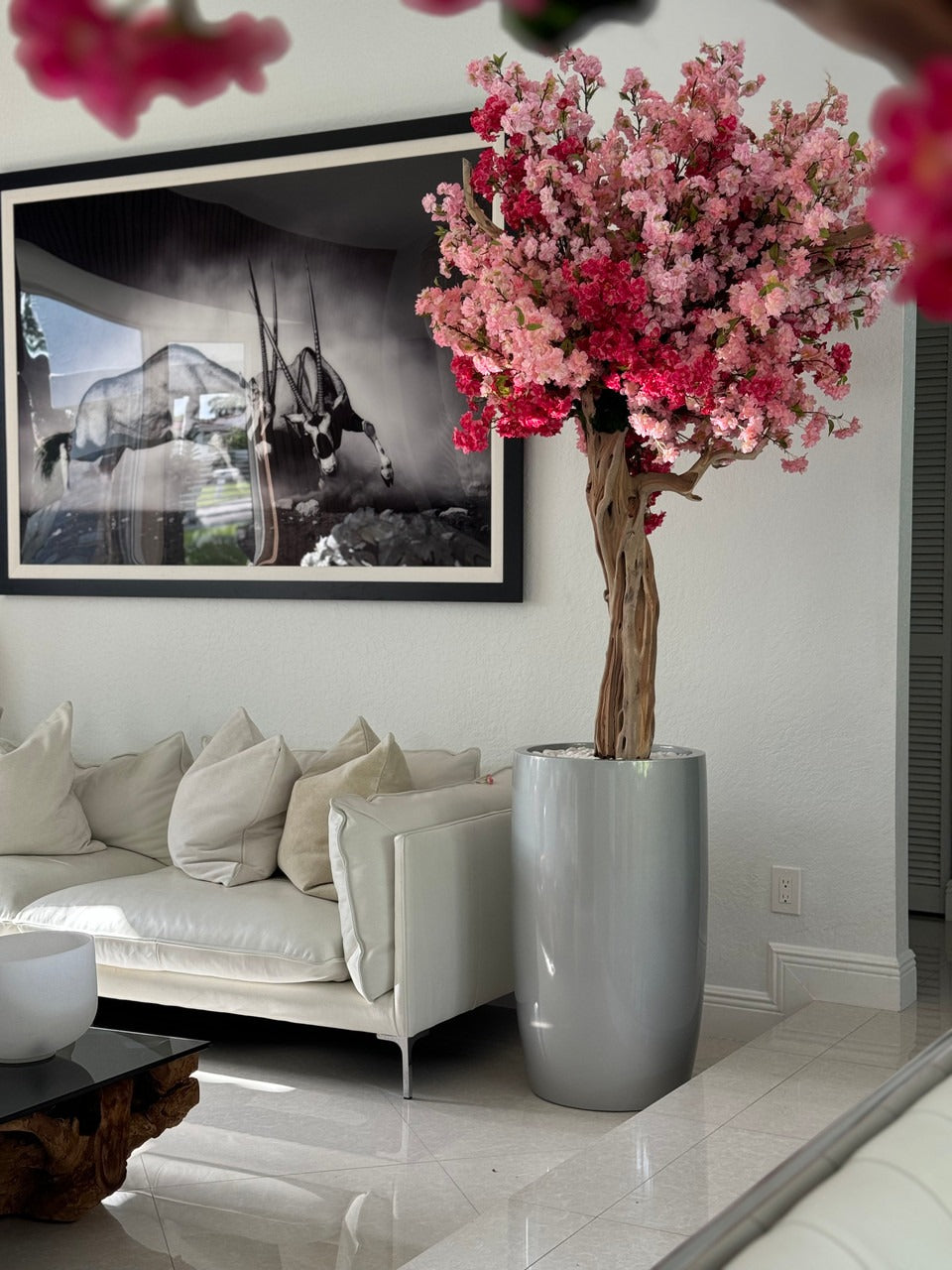 Cerisier en Fleurs | Signature Deauville, rose brillant
