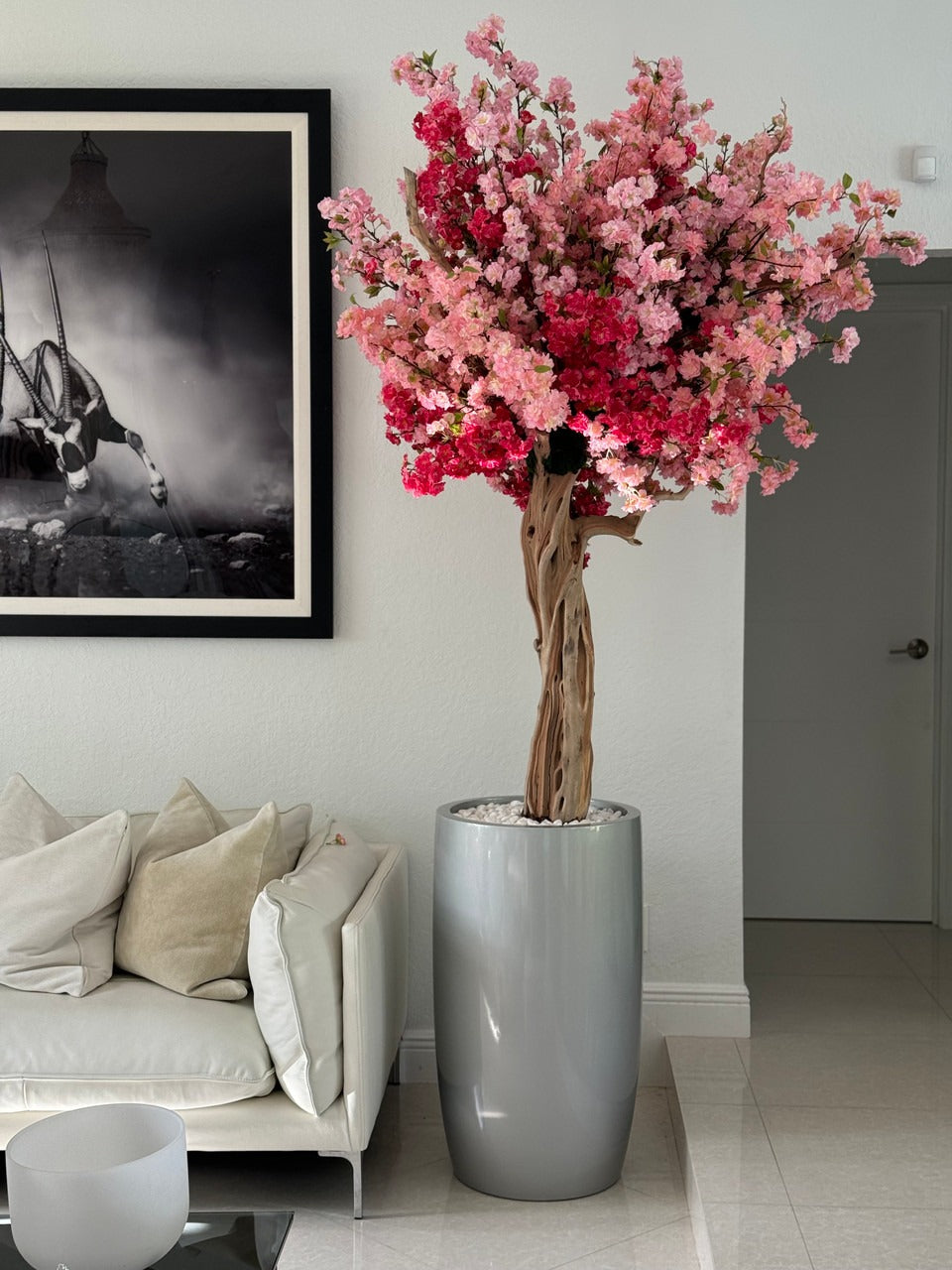Cerisier en Fleurs | Signature Deauville, rose brillant