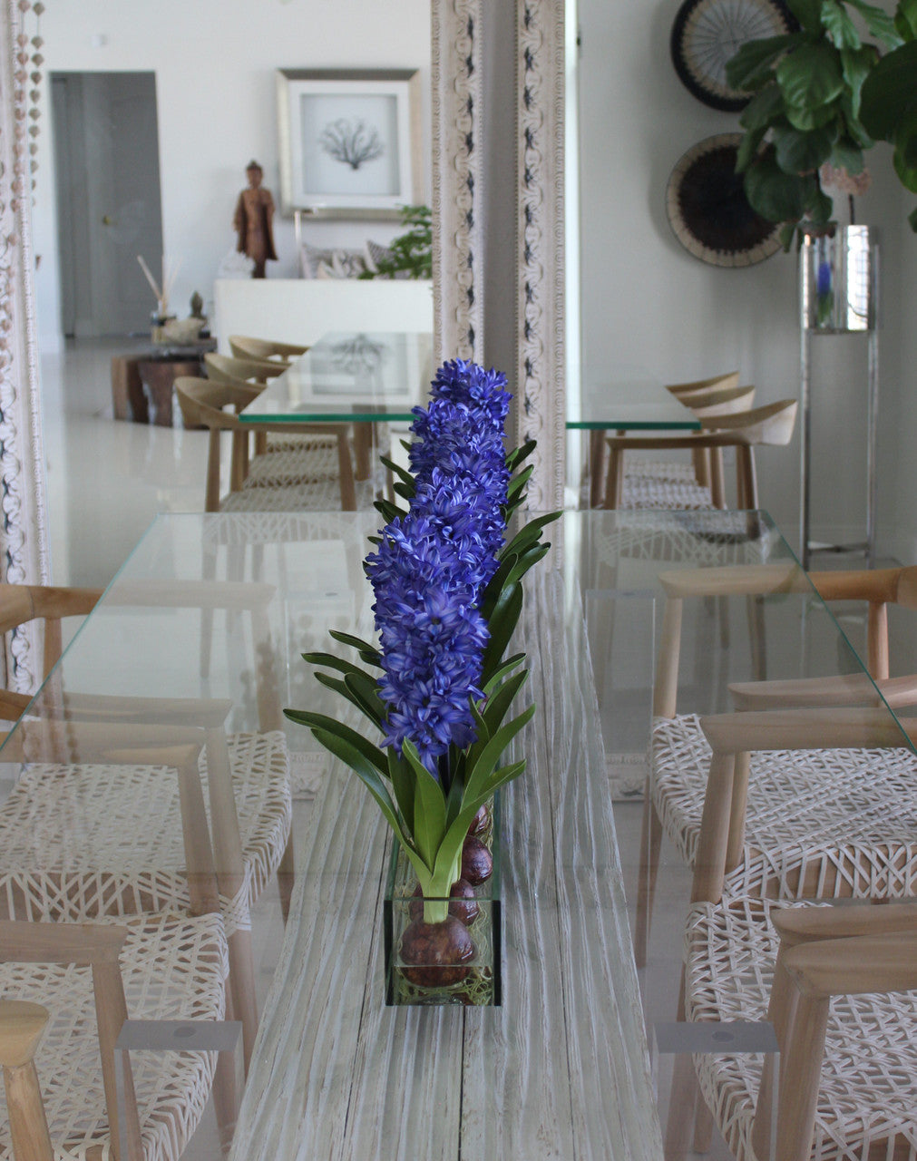Composition Jacinthes 122 cm | Signature Provence, bleu