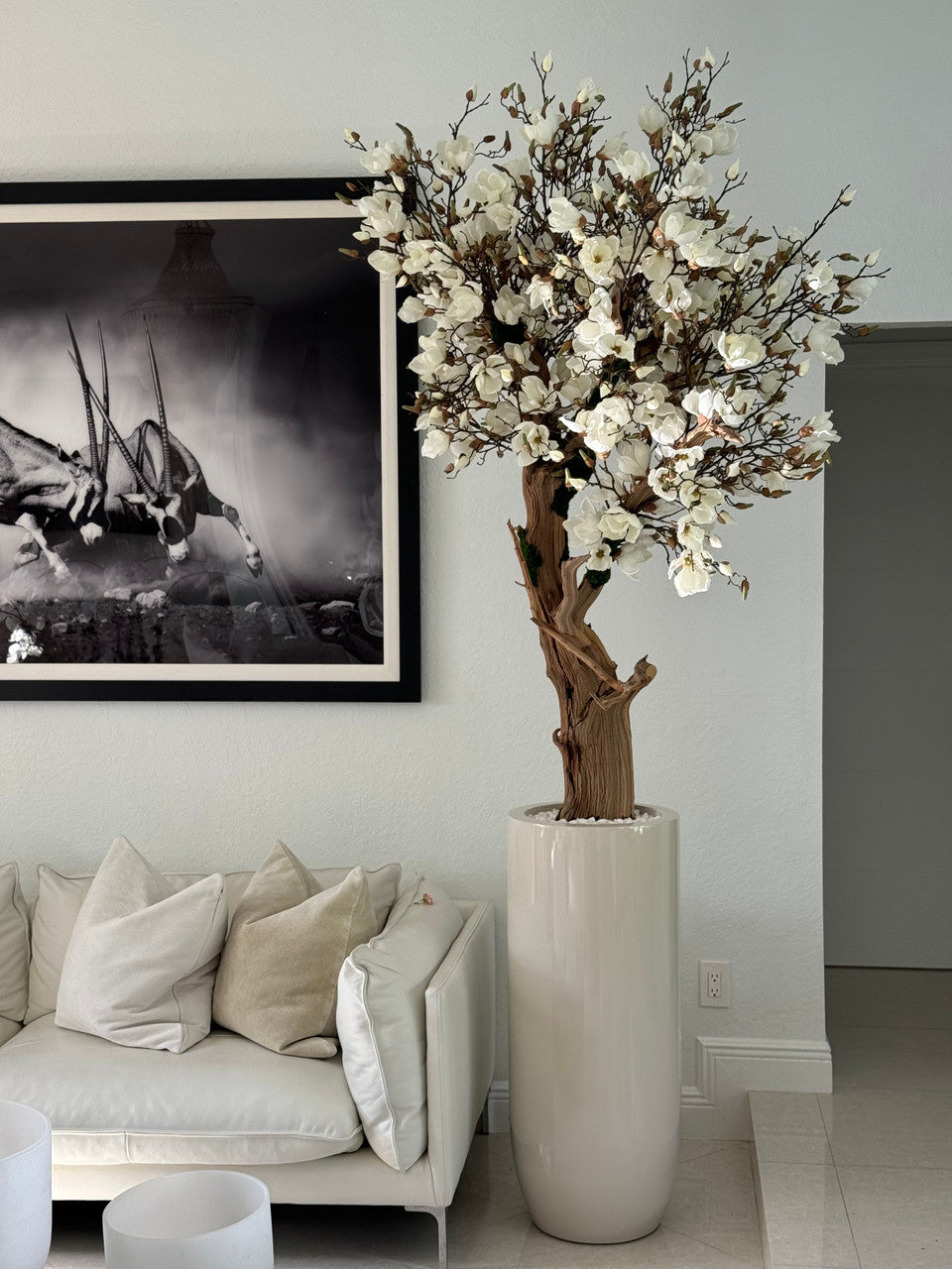 Composition Magnolia · Édition Bordeaux, beige brillant