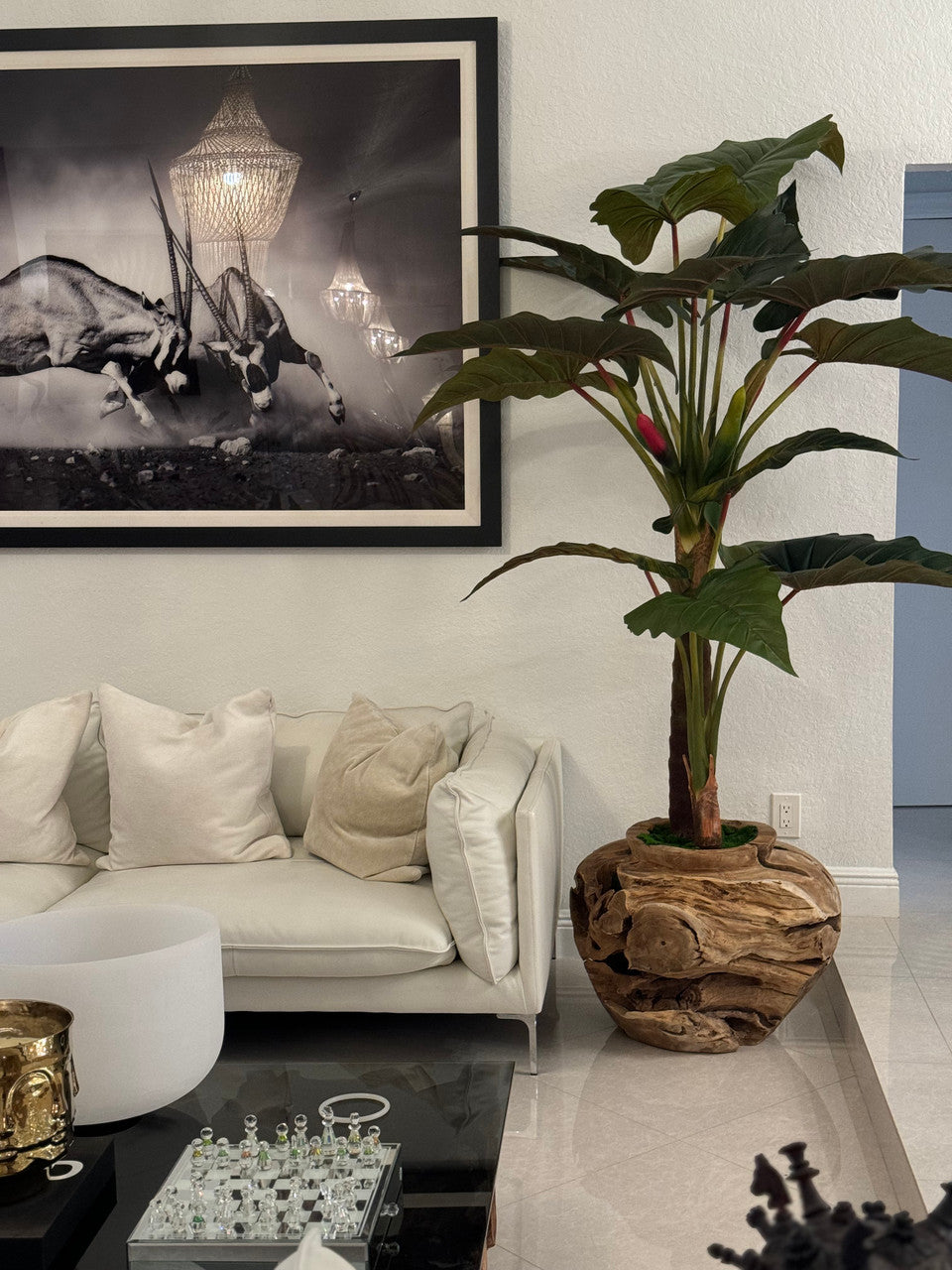Plante Tropicale XXL — Collection Aquitaine