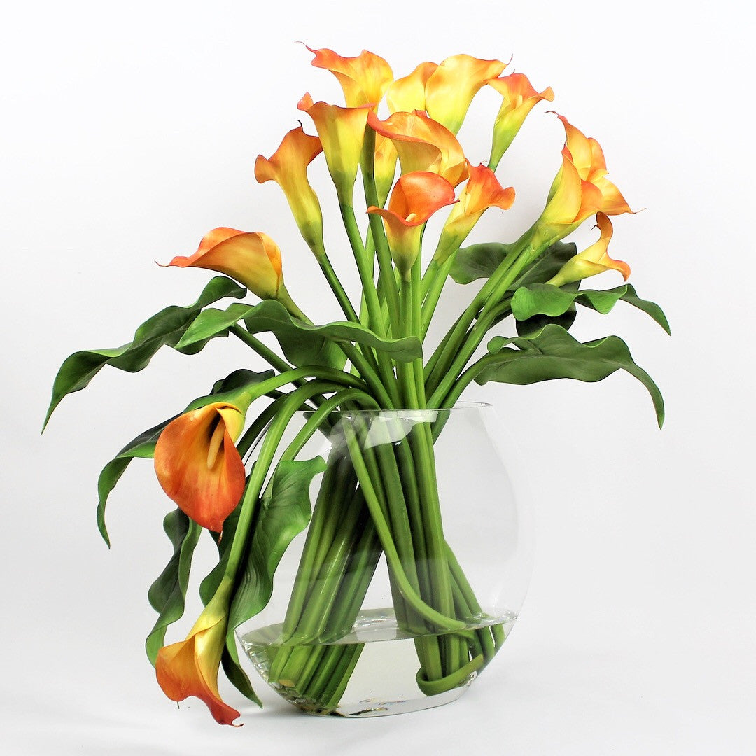 Arum Blanc | Signature Camargue