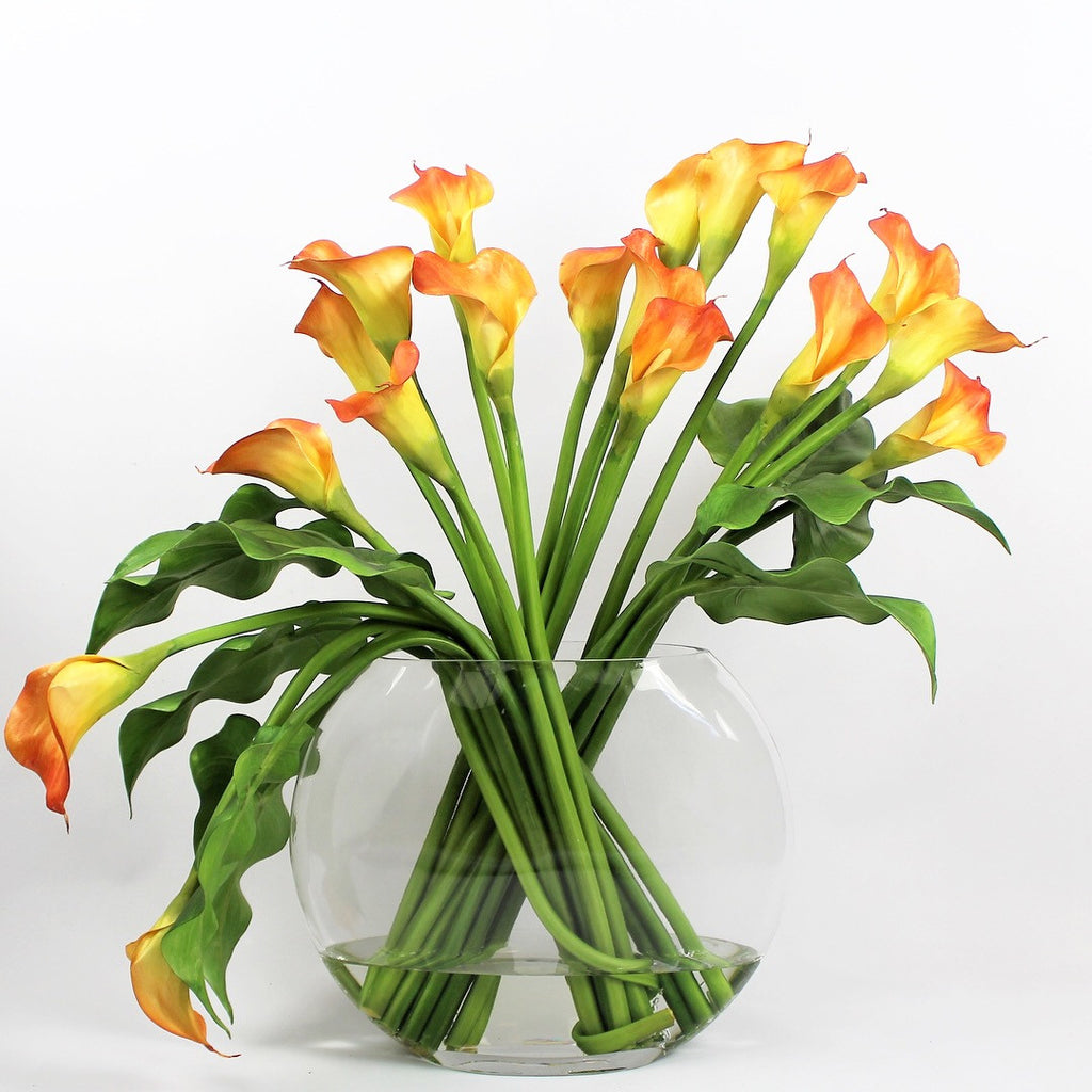 Arum Blanc | Signature Camargue