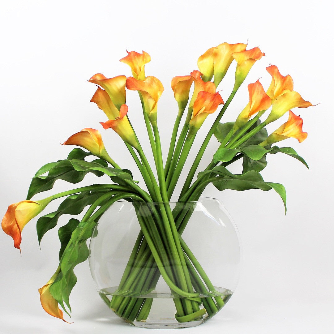 Arum Blanc | Signature Camargue