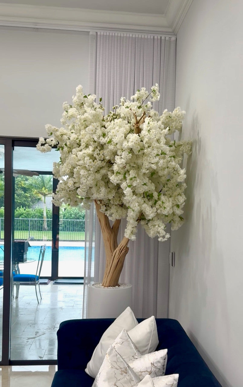 Cerisier en Fleurs · Édition Nantes, blanc mat
