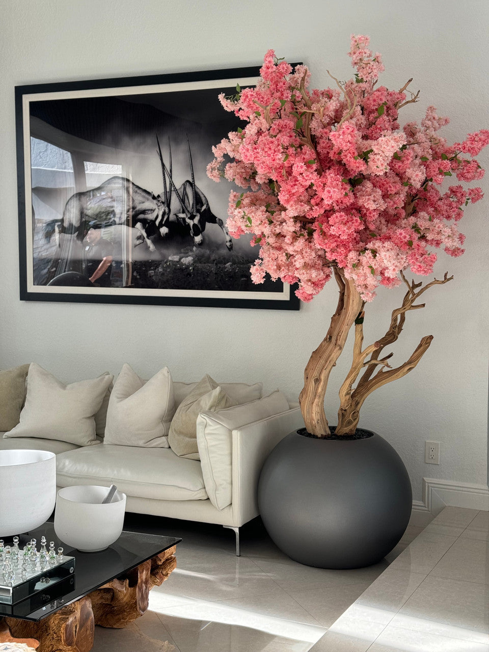 Cerisier en Fleurs — Collection Bourgogne, mat