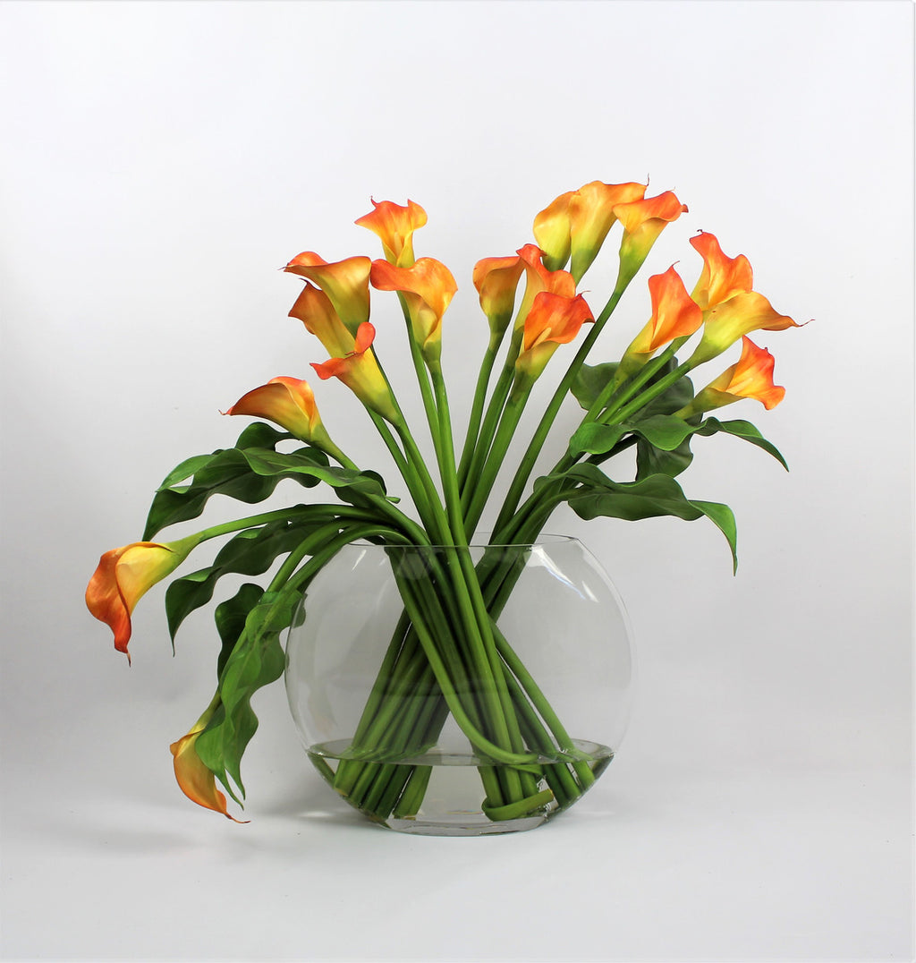 Arum Blanc | Signature Camargue