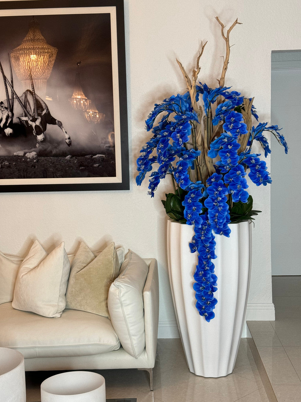 Orchidée Phalaenopsis — Collection Bourgogne, blanc