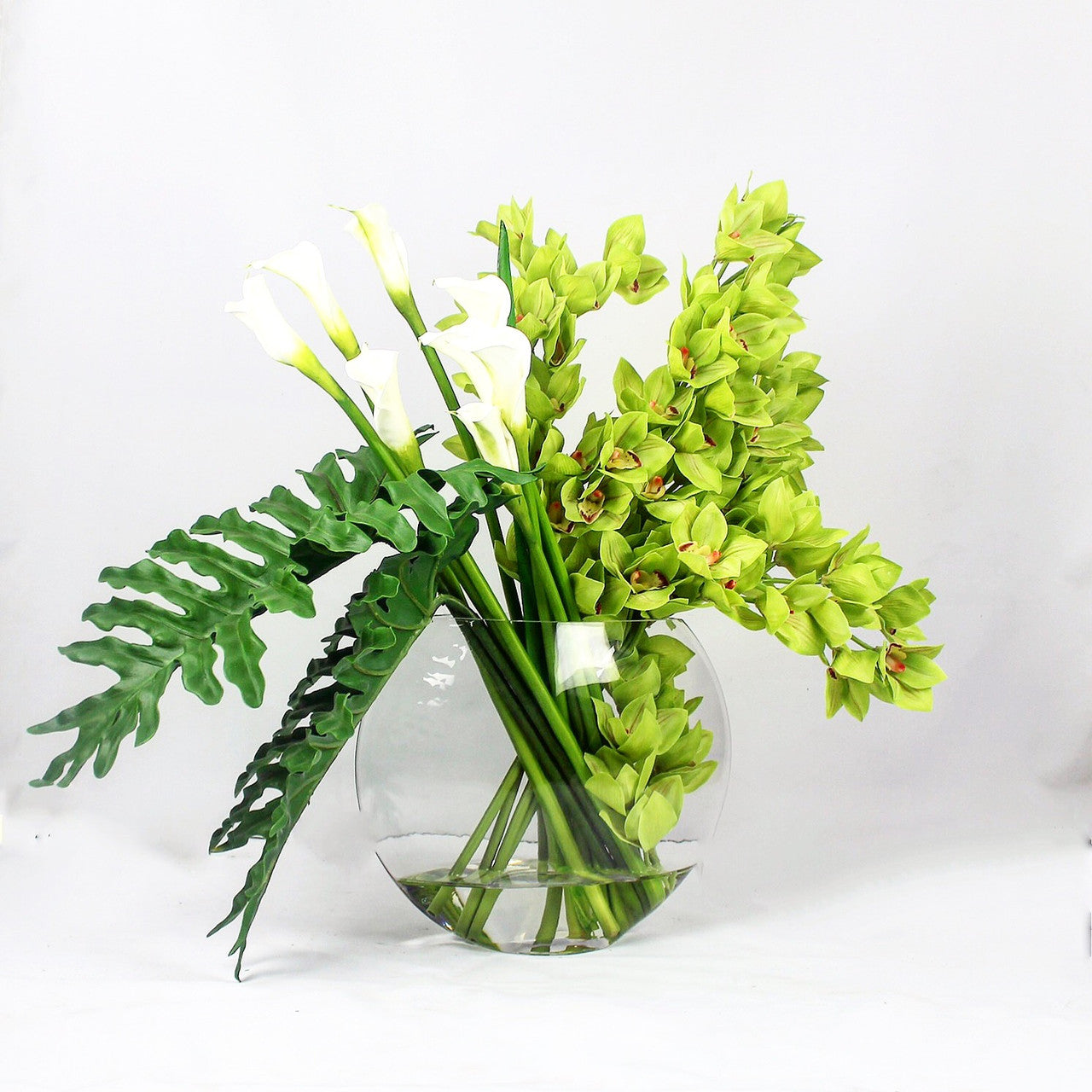 Plante Tropicale · Édition Biarritz, vert