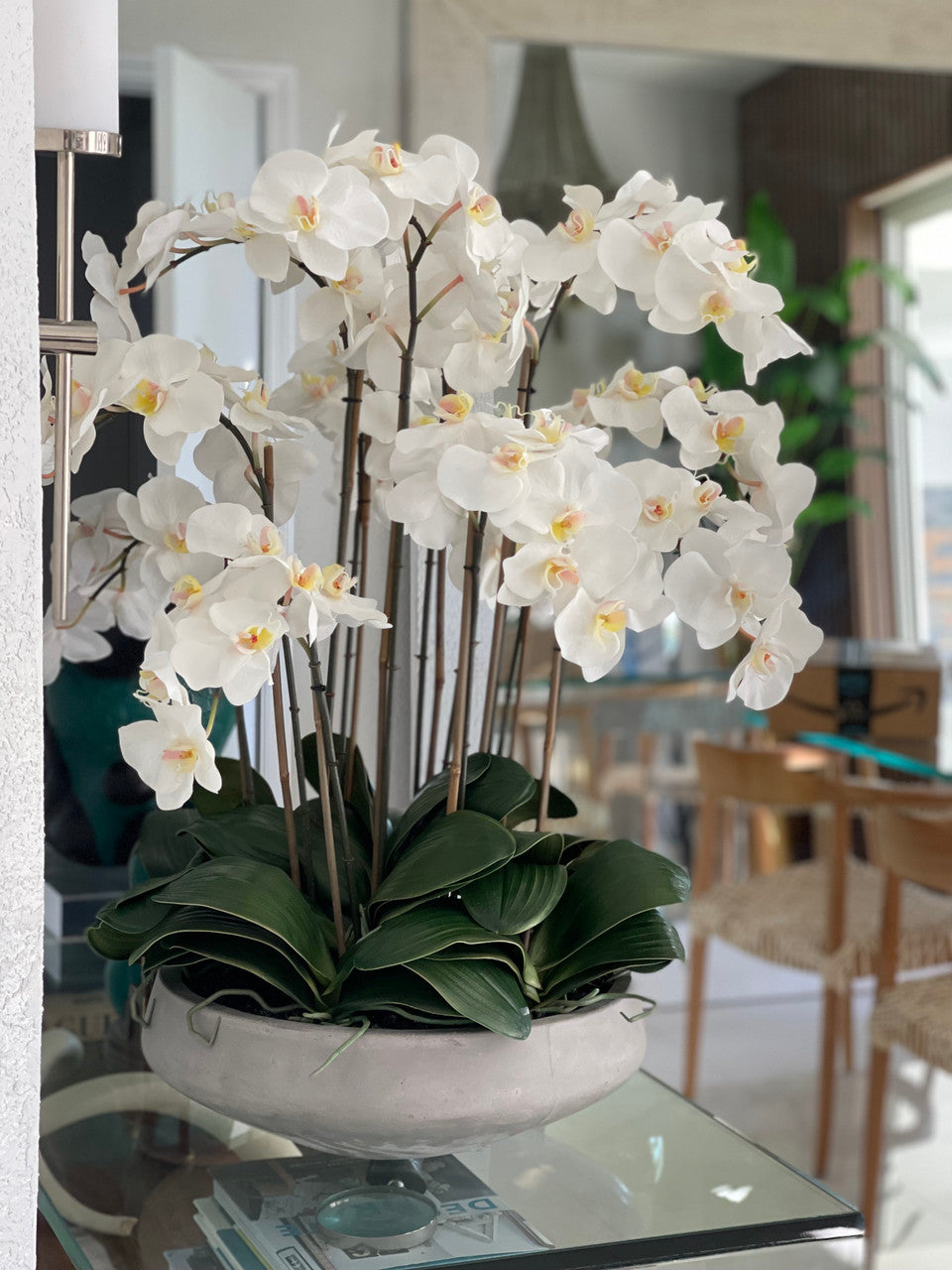 Orchidée Phalaenopsis — Collection Biarritz, blanc