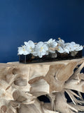 Orchidée Phalaenopsis 91 cm · Édition Anjou, blanc