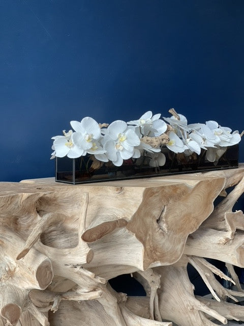 Orchidée Phalaenopsis 91 cm · Édition Anjou, blanc