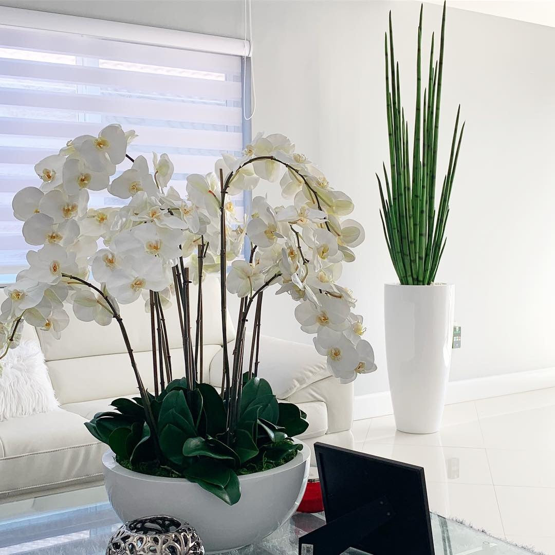 Sansevière 160 cm · Édition Périgord, blanc brillant
