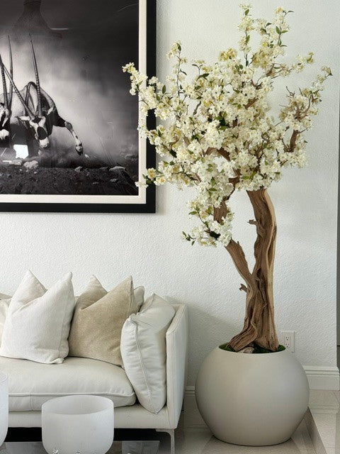 Cerisier en Fleurs · Édition Bourgogne, beige mat
