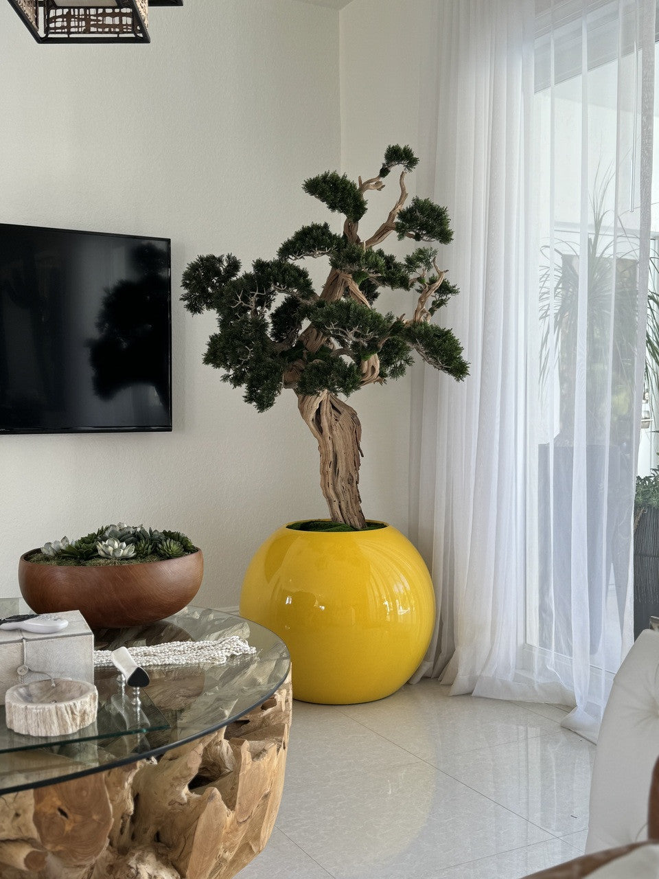Bonsaï — Collection Anjou, 76 cm, jaune