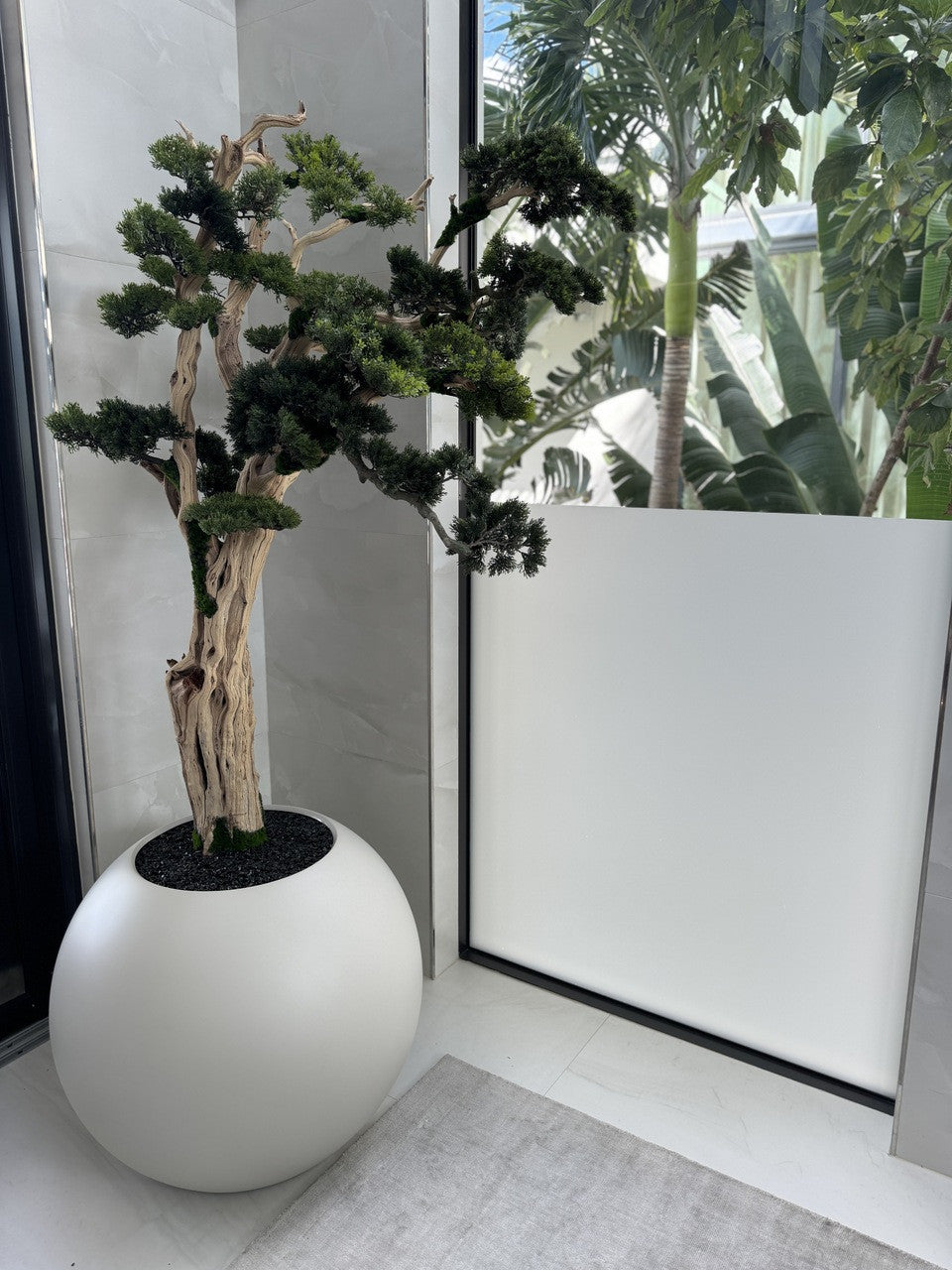 Bonsaï 76 cm · Édition Deauville, beige