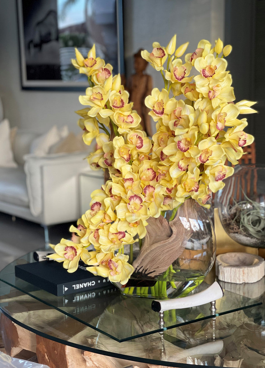 Orchidée Cymbidium — Collection Deauville, jaune