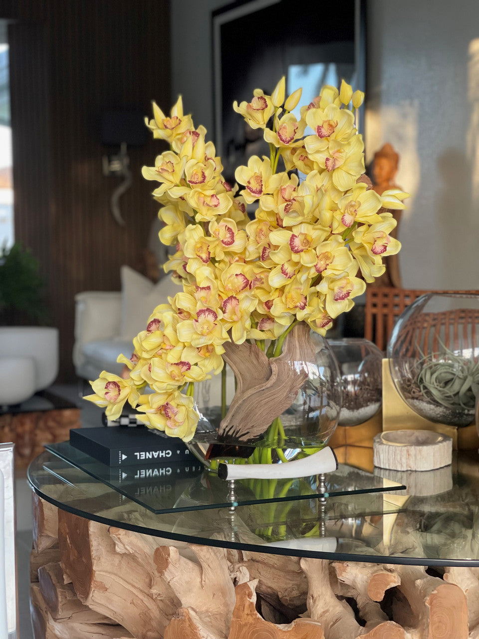 Orchidée Cymbidium — Collection Deauville, jaune