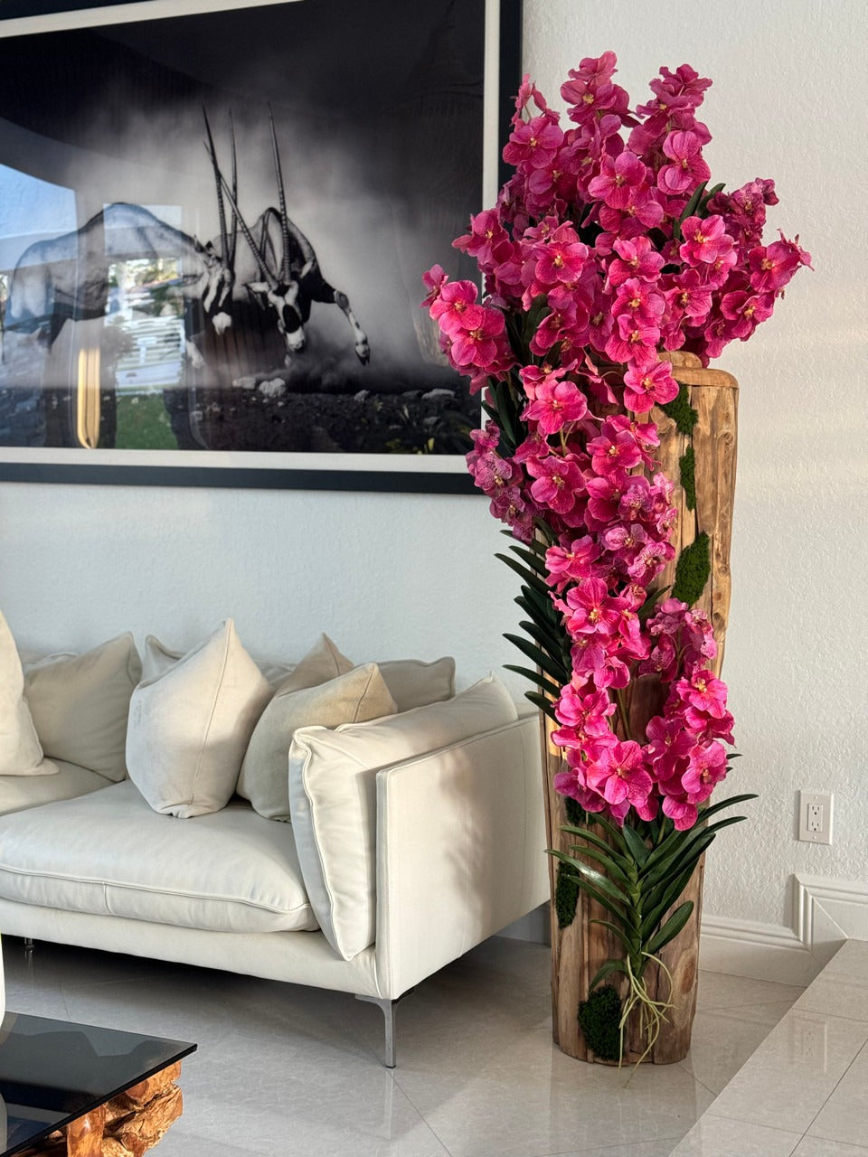 Orchidée Vanda Grand | Signature Périgord, teck