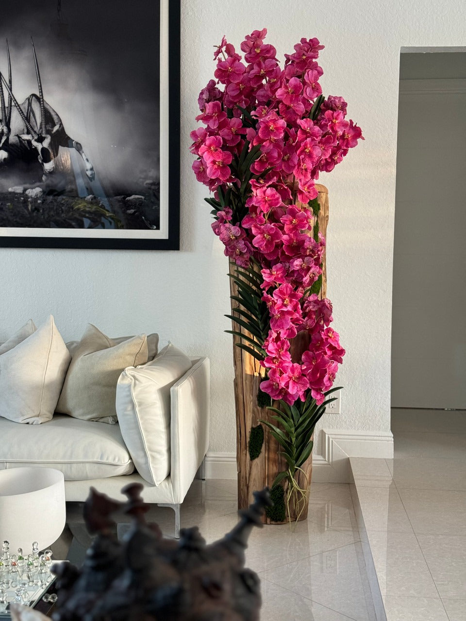 Orchidée Vanda Grand | Signature Périgord, teck