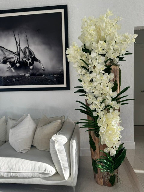 Orchidée Vanda Grand · Édition Vosges, teck