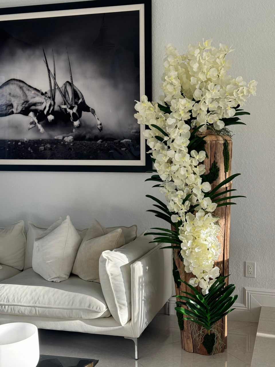 Orchidée Vanda Grand · Édition Vosges, teck