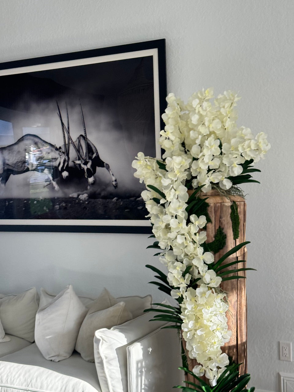 Orchidée Vanda Grand · Édition Vosges, teck
