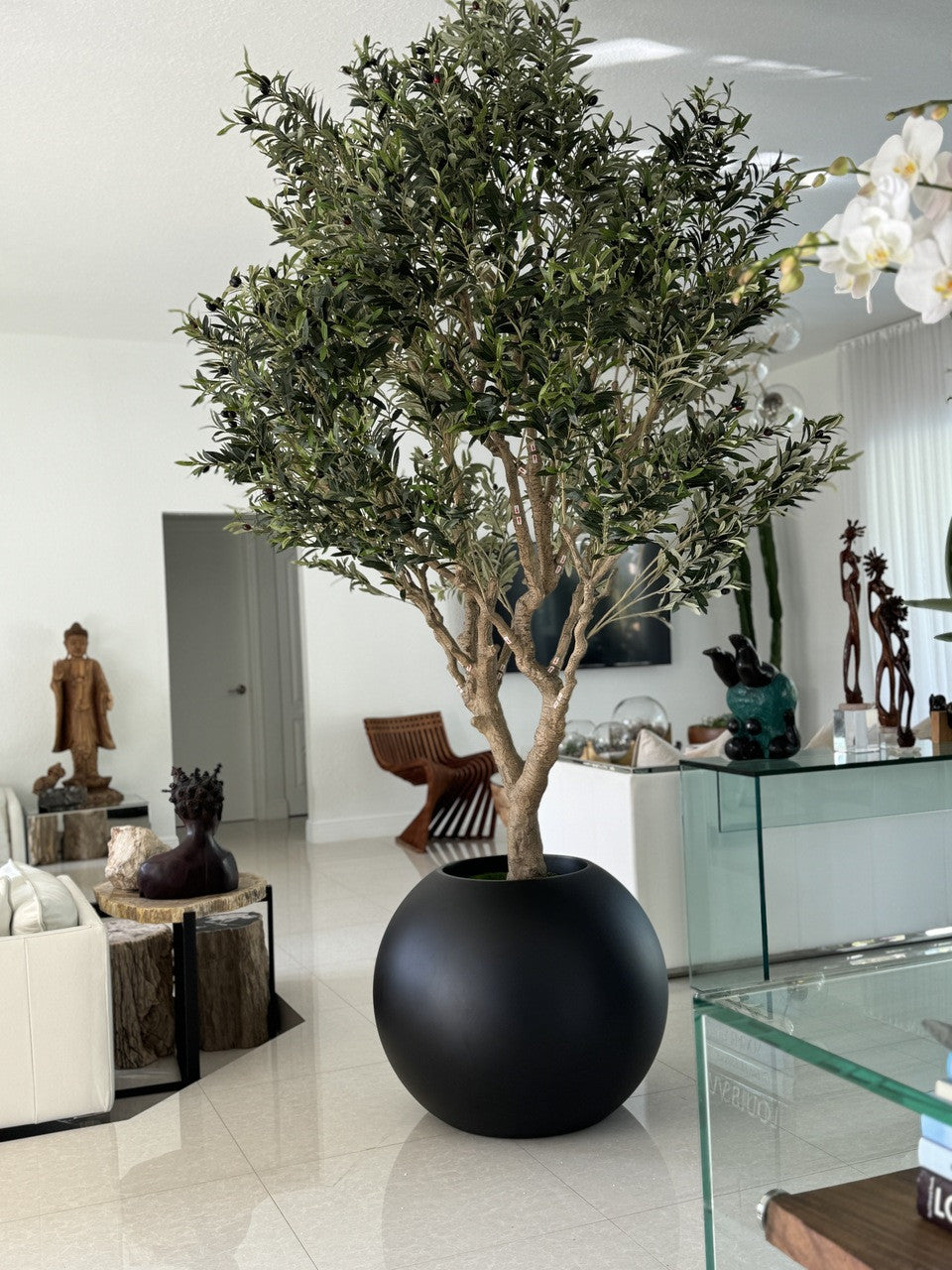 Olivier 76 cm | Signature Camargue, noir mat