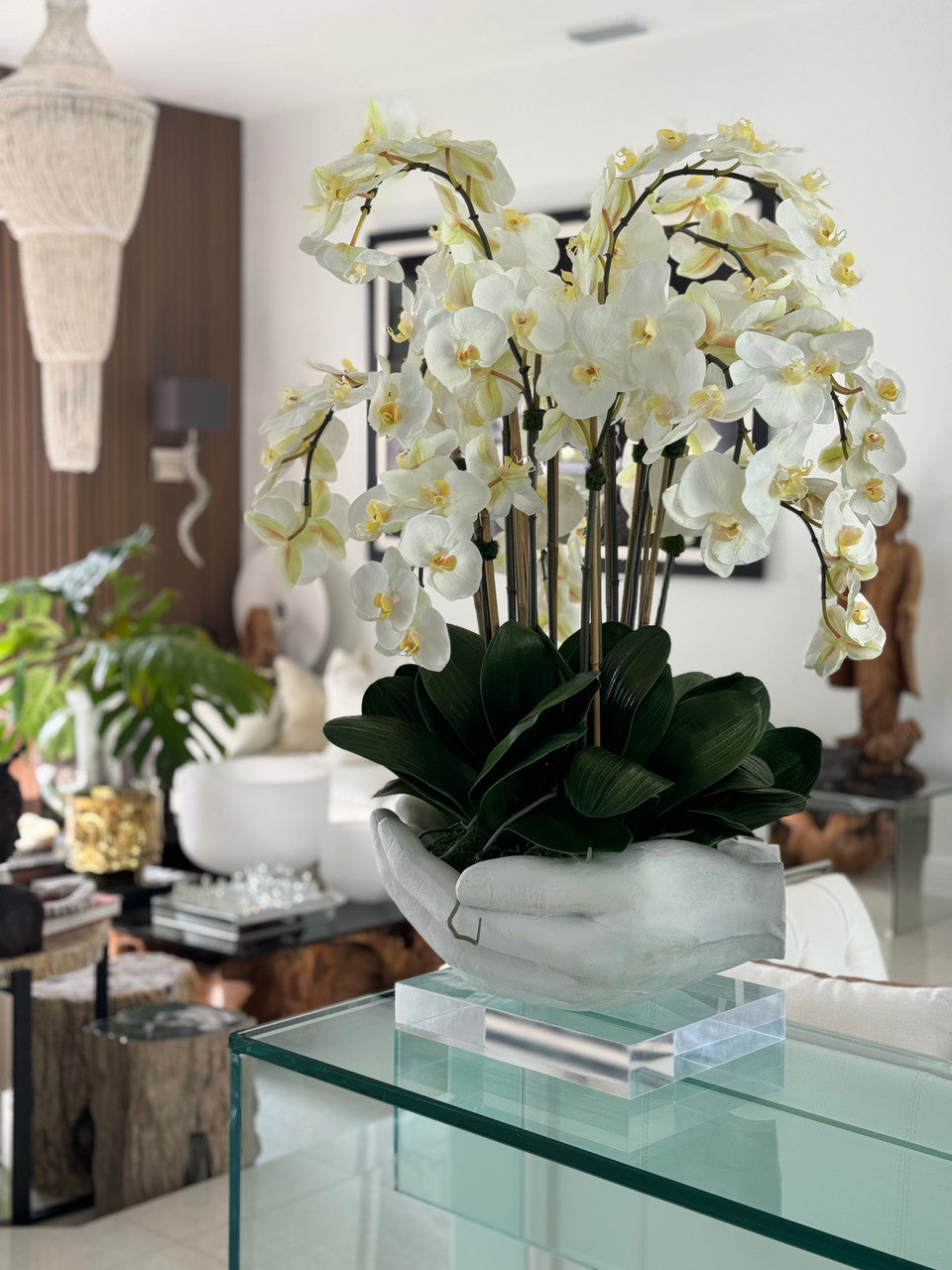 Orchidée Phalaenopsis | Signature Camargue, blanc