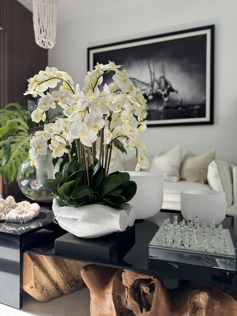 Orchidée Phalaenopsis | Signature Camargue, blanc