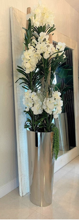 Orchidée Vanda | Signature Anjou, blanc