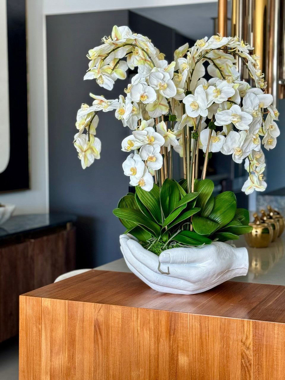 Orchidée Phalaenopsis | Signature Camargue, blanc