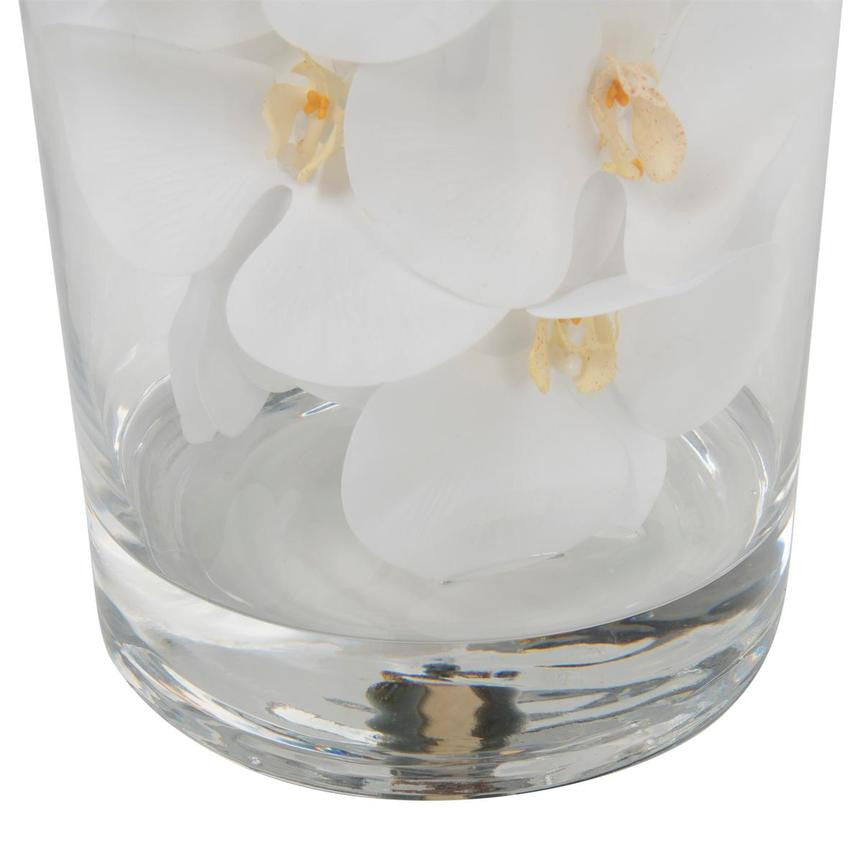 Orchidée Phalaenopsis | Signature Bordeaux, blanc
