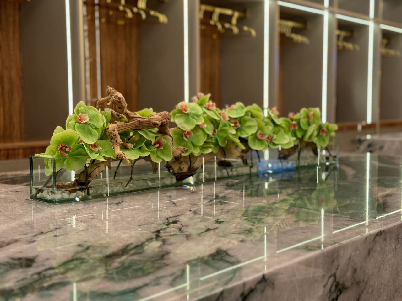 Orchidée Phalaenopsis — Collection Anjou, 122 cm, vert