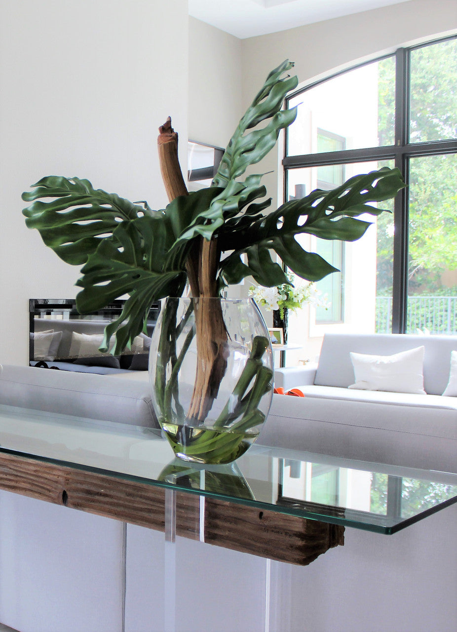 Plante Tropicale | Signature Provence